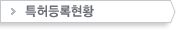 특허등록현황